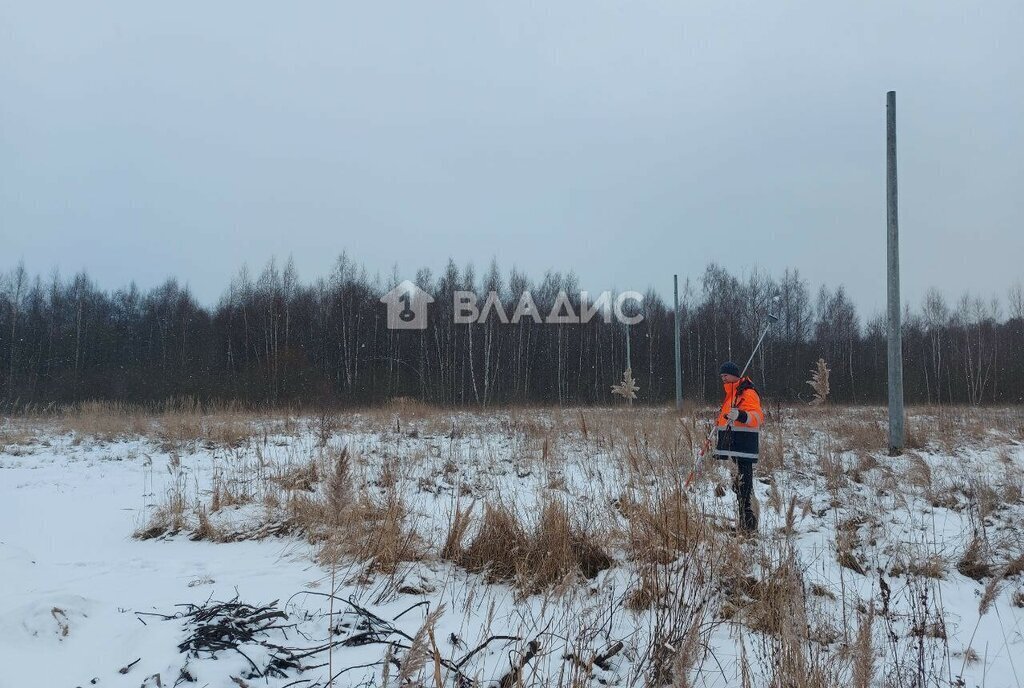 земля городской округ Орехово-Зуевский д Будьково ул Володарского фото 2