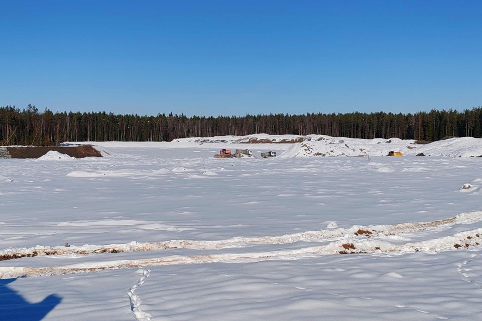 земля р-н Всеволожский д. Мендсары фото 7