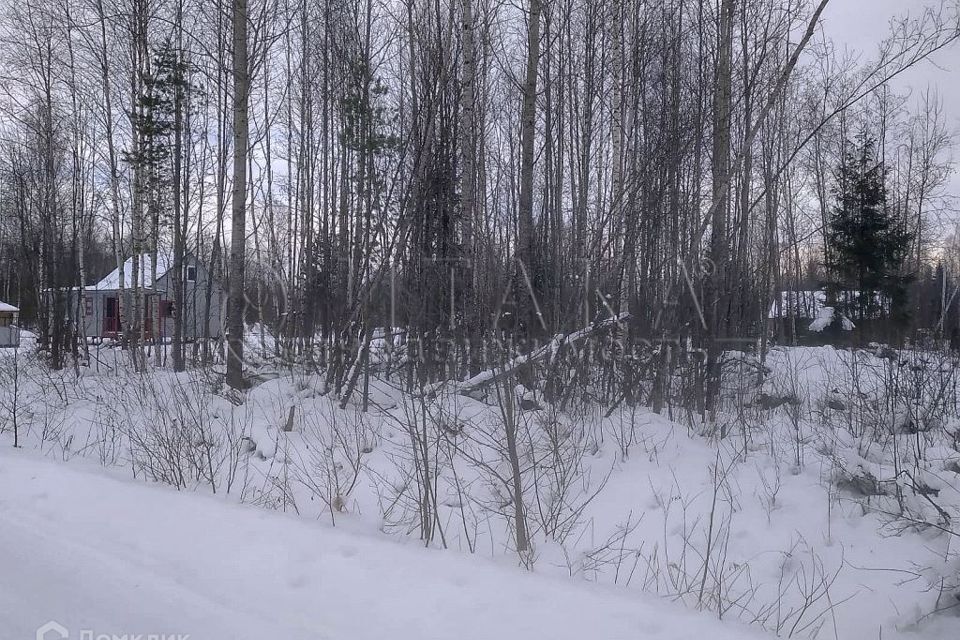 земля р-н Выборгский снт Парус Сосновоборский городской округ, 2 фото 5