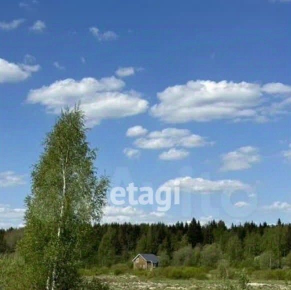 земля р-н Всеволожский г Всеволожск пер Комсомольский Ладожская фото 1