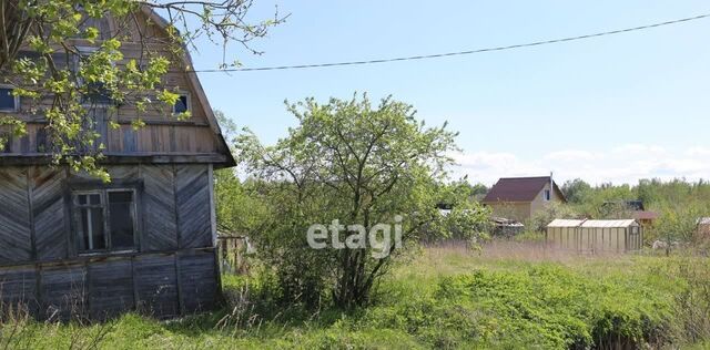 земля снт Приладожское 514, Приладожское городское поселение фото