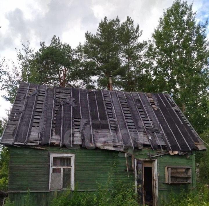 земля р-н Гатчинский массив Березовая роща снт Бререзовая роща фото 3