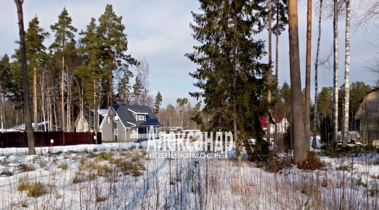 земля р-н Выборгский Полянское с/пос, Приветное кп, ул. Лучистая фото 1