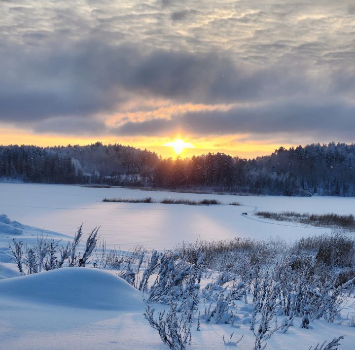 дом р-н Лахденпохский п Куркиеки ул Речная 9 фото 30