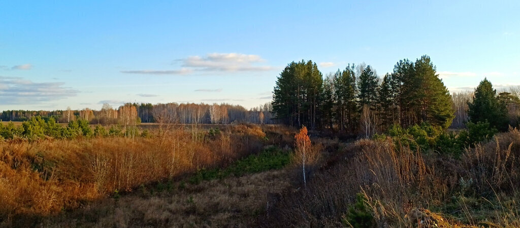 земля р-н Сысертский фото 2