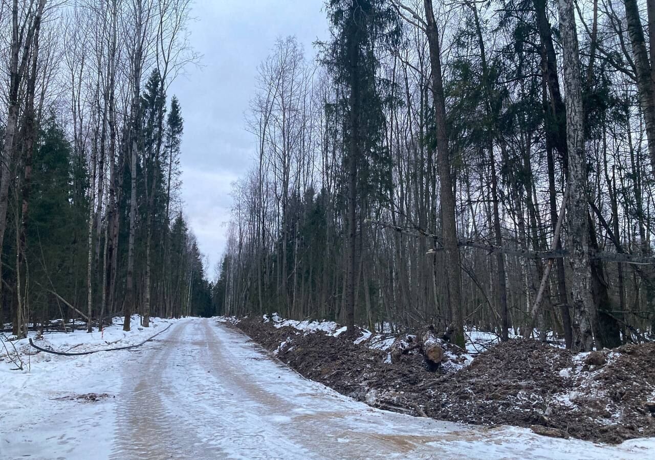 земля городской округ Дмитровский п Подосинки 32 км, территория Объединение Дубровские Зори, 15, Деденево, Дмитровское шоссе фото 4