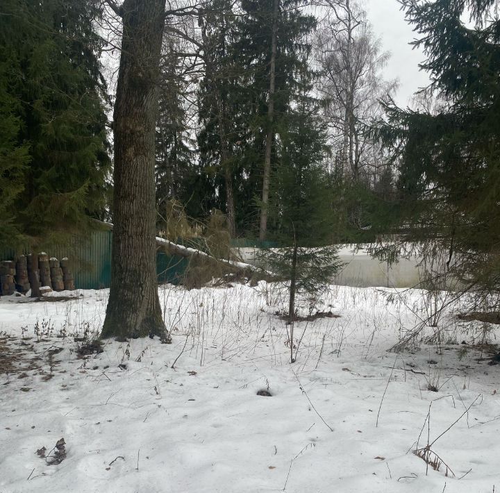 земля городской округ Одинцовский г Звенигород ал Сосновая фото 9