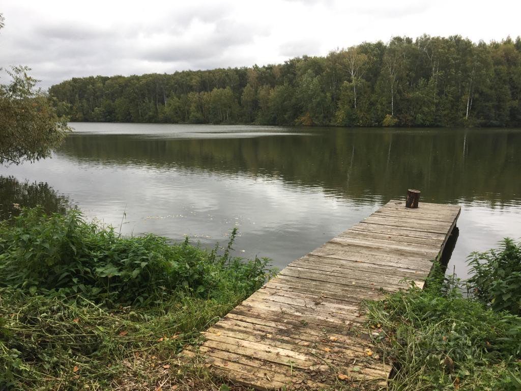 земля городской округ Раменский с Ульянино 20А, Давыдово фото 2