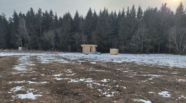 направление Павелецкое (юго-восток) ш Каширское городской округ Домодедово фото