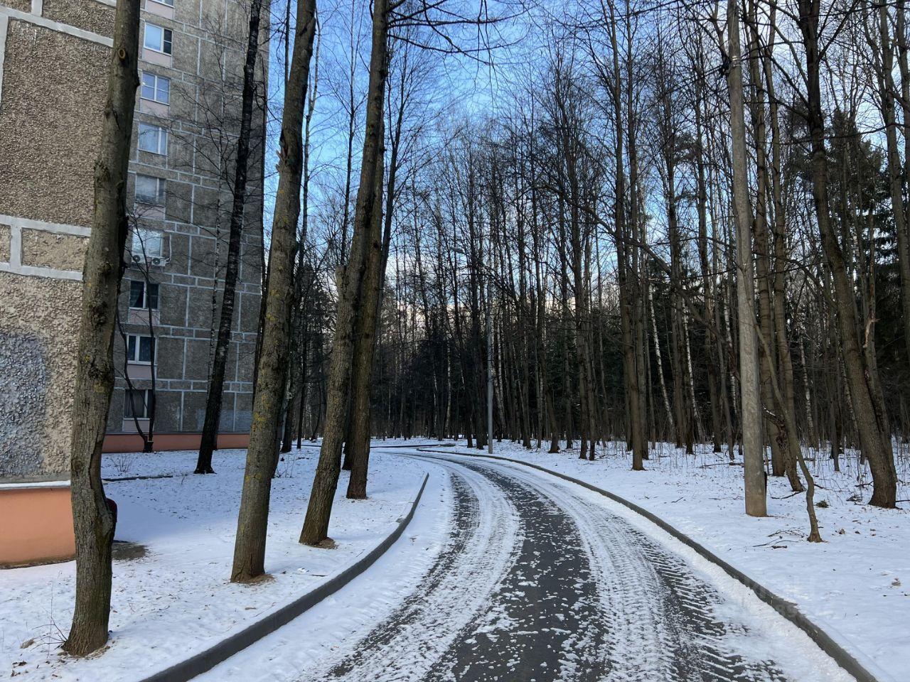 квартира г Зеленоград Матушкино ЗелАО 1-й микрорайон, к 166, Московская область, г Пушкино, Зеленоград фото 17