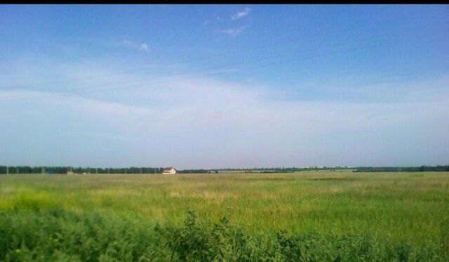 ул Имени Александра Воронского фото