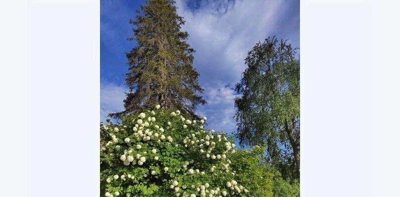дом г Сортавала п Нукутталахти Сортавальское городское поселение, 14 фото 13