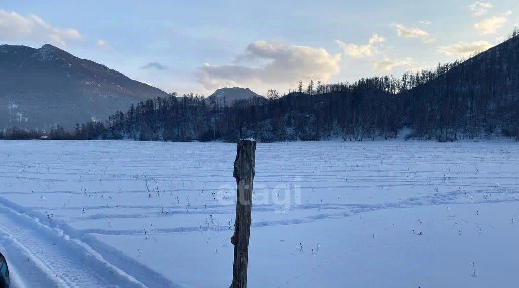 земля р-н Усть-Коксинский с Тихонькая ул Центральная фото 3