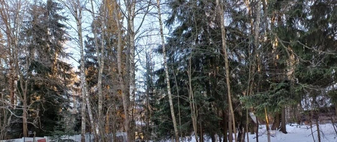 земля г Лобня мкр Луговая ул Кольцевая 33 Лобня фото 19
