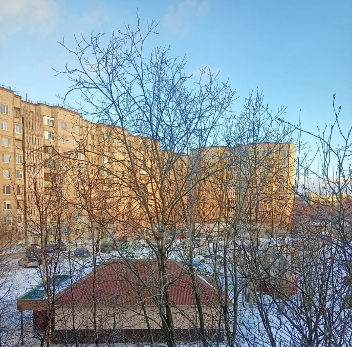 квартира г Мончегорск проезд Школьный 2 фото 20