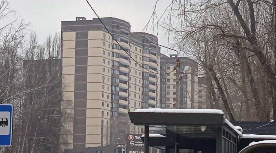 квартира г Воронеж р-н Коминтерновский ул Беговая 162 фото 26