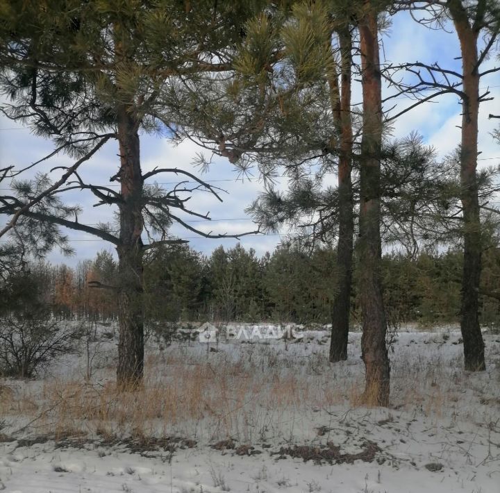 дом г Воронеж р-н Левобережный снт тер.УГОЛЕК ул Сиреневая фото 19