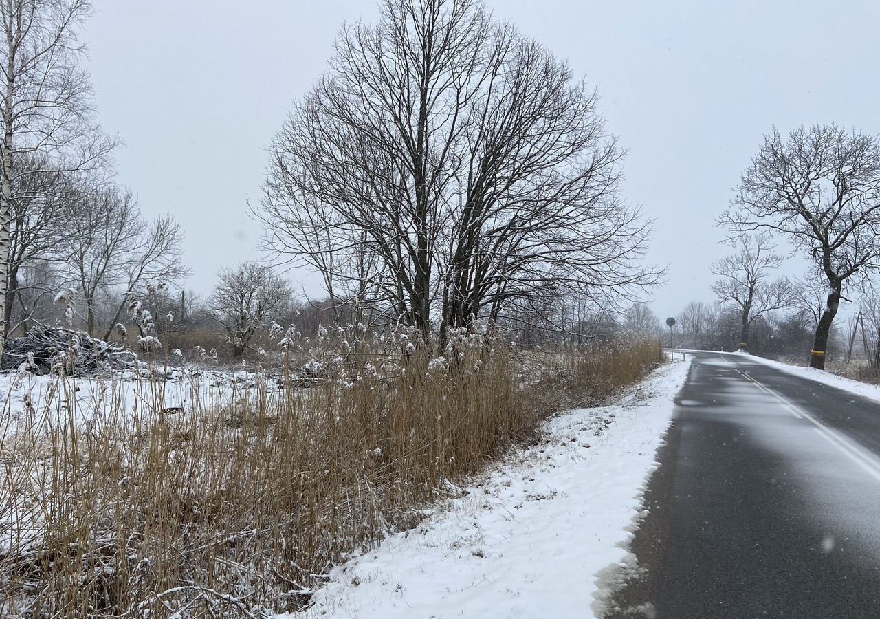 земля р-н Гурьевский п Старорусское Зеленоградск фото 5