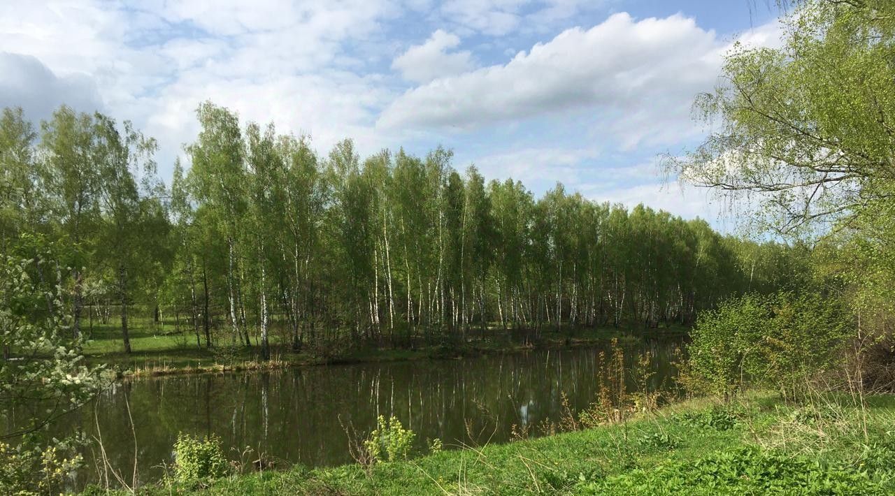 земля р-н Бабынинский д Альшаны Село Бабынино с/пос фото 6