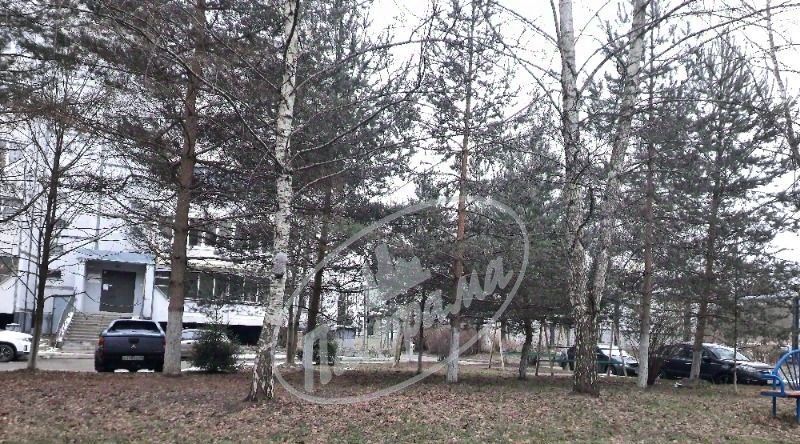 квартира г Калуга р-н Октябрьский ш Грабцевское 83 фото 14