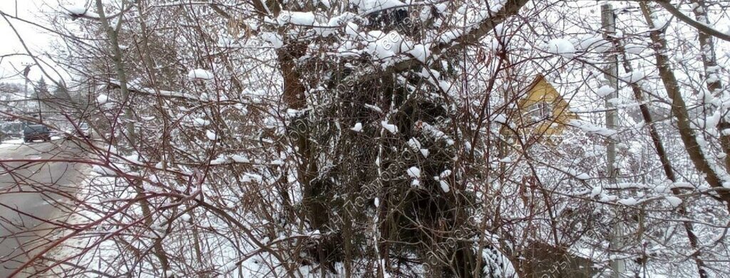 земля городской округ Истра д Обновлённый Труд снт Родники Нахабино фото 7