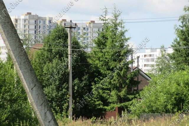 земля снт Стрелец Толстопальцево фото