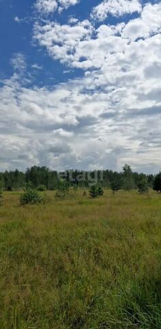 Гусельниковский сельсовет, Линево фото