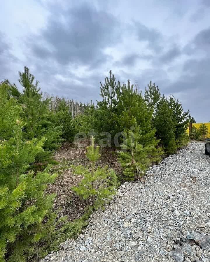 земля г Екатеринбург р-н Чкаловский коттеджный пос. Макаровский-1 фото 3