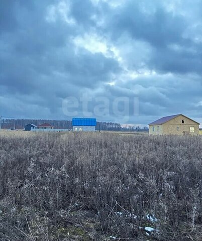 земля с Непецино городской округ Коломна фото