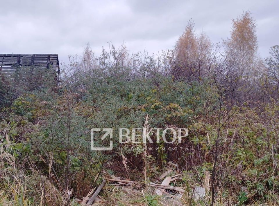 земля г Кострома снт Русь фото 2