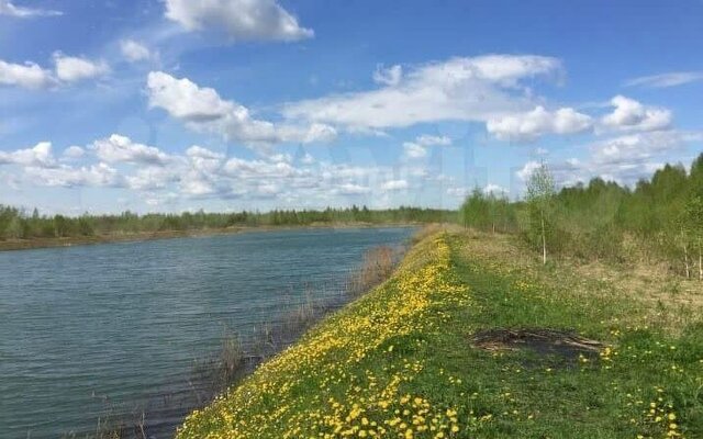 д Будьково снт Магнолия фото