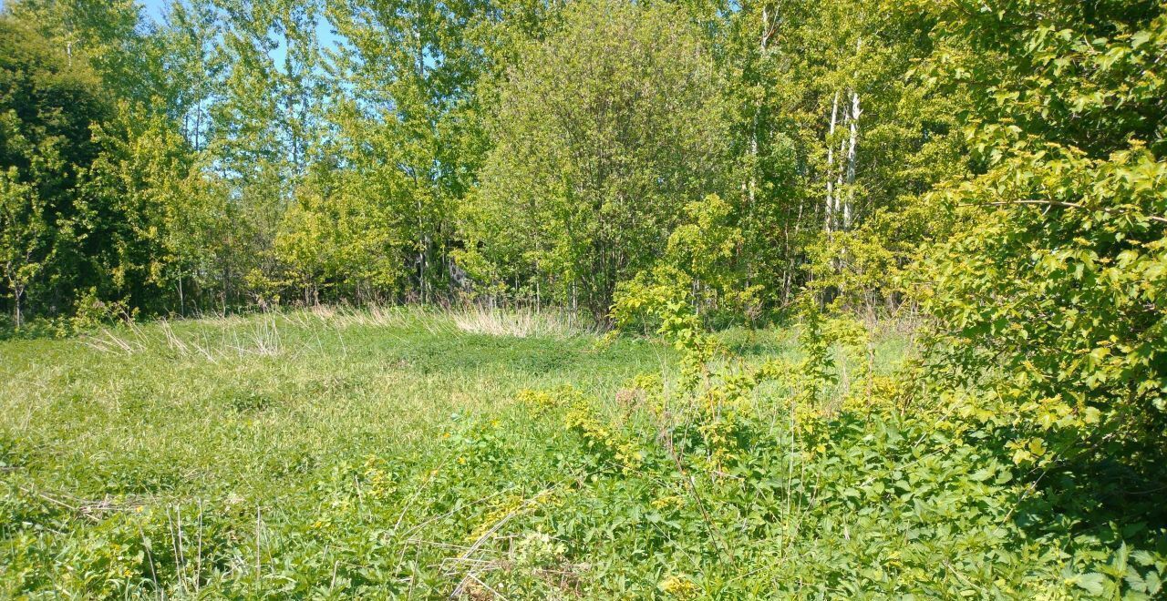 земля городской округ Орехово-Зуевский п Снопок Новый снт Ромашка Орехово-Зуево фото 3