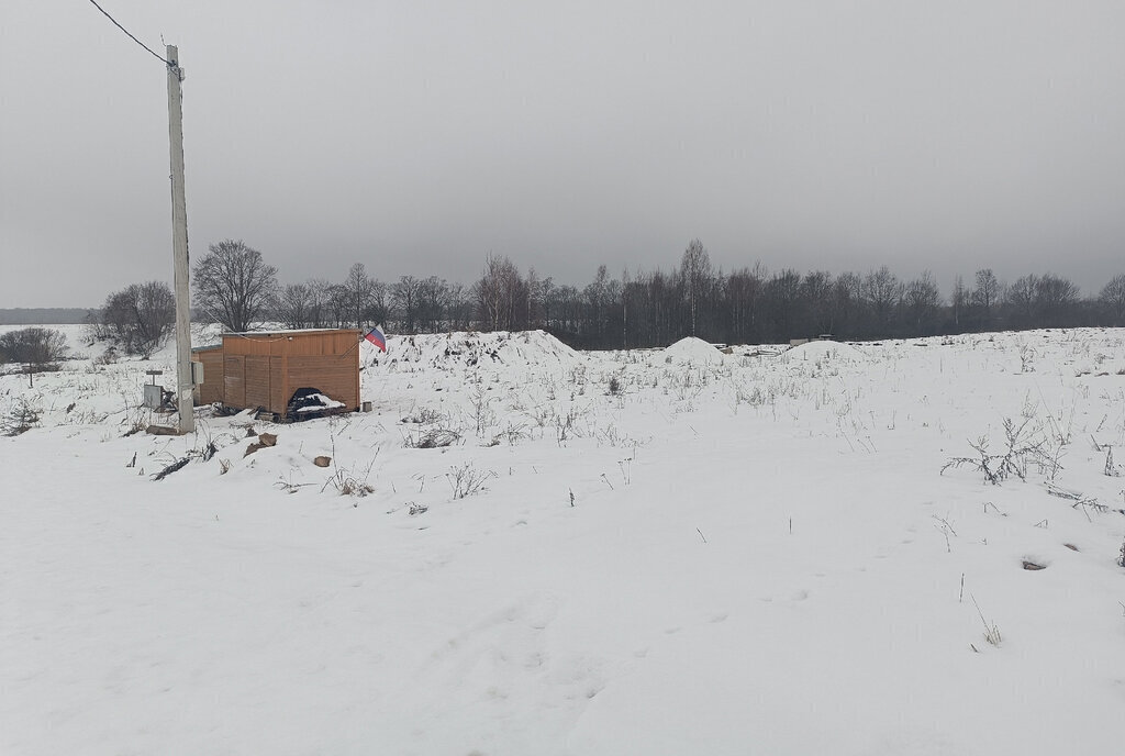 земля р-н Новгородский д Орлово ул Андреевская Борковское сельское поселение фото 3