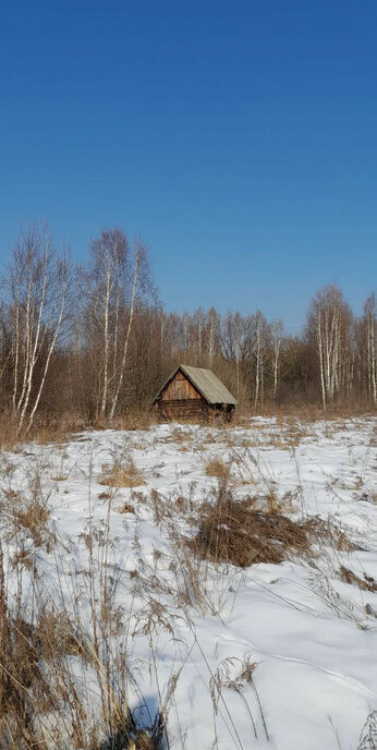 дом г Шахунья д Полетайки городской округ Бор фото 4