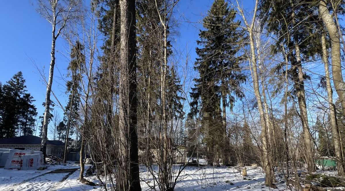 земля городской округ Мытищи п Трудовая пос. Трудовая Северная, Хлебниково фото 2