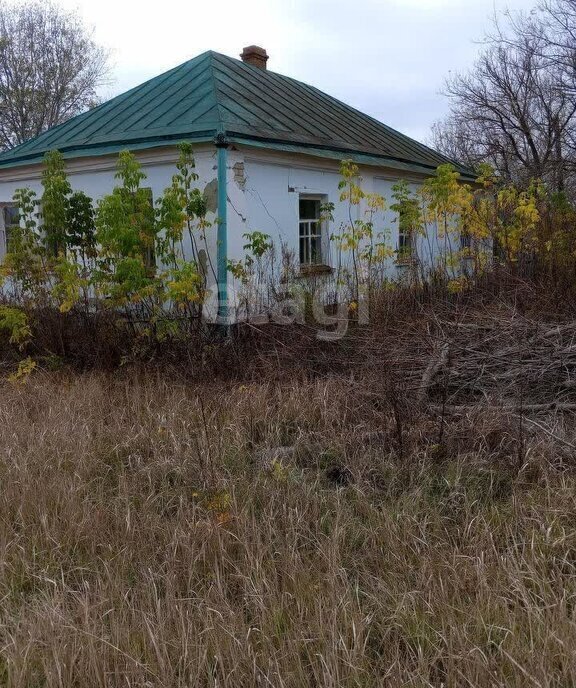 дом р-н Рамонский с Большая Верейка ул Торговая фото 1