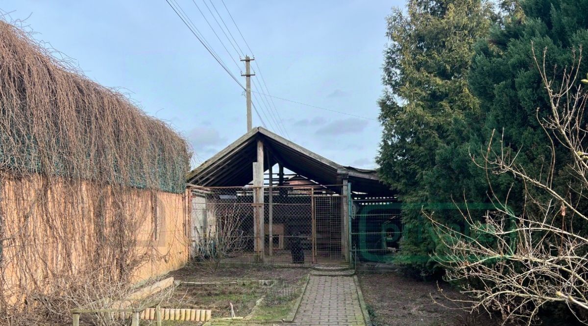 дом г Светлый п Взморье снт Рыбак Светловский городской округ фото 3