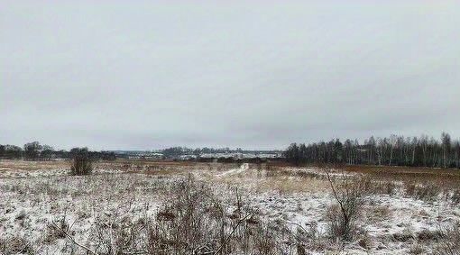 земля р-н Курский д 1-я Моква Моковский сельсовет фото 4