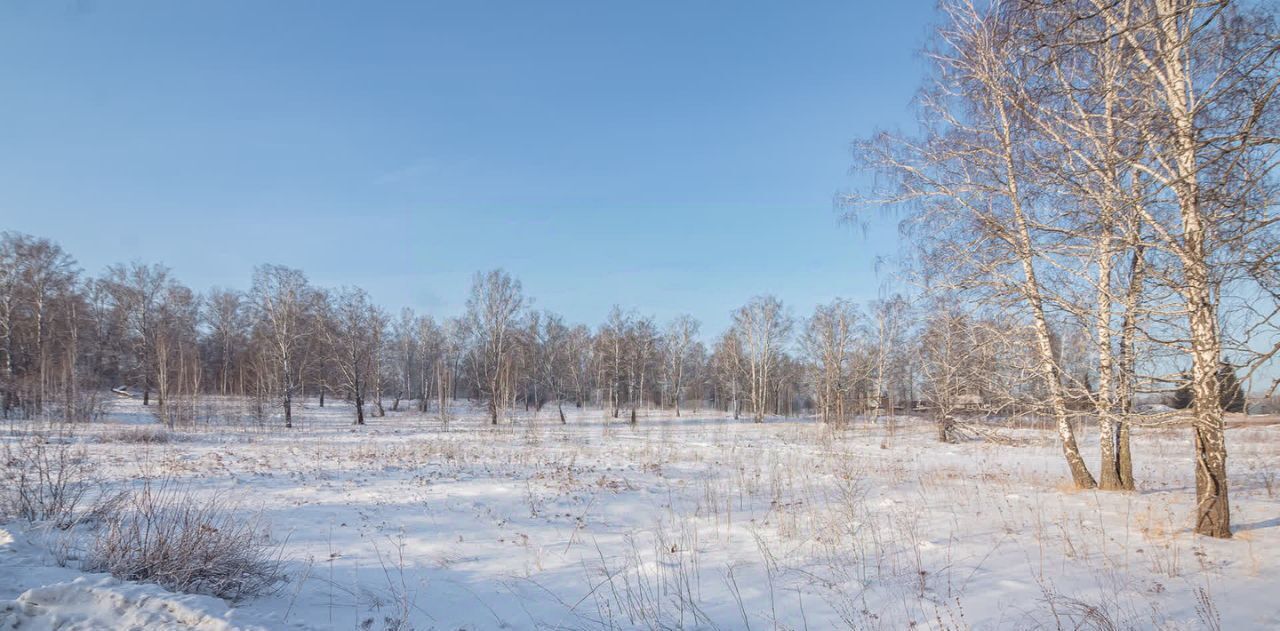 земля р-н Новосибирский с Барышево фото 7