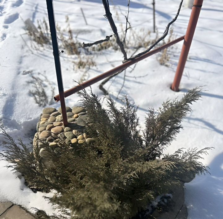 дом р-н Энгельсский п Приволжский снт Волжанка 165, Красноярское муниципальное образование фото 5