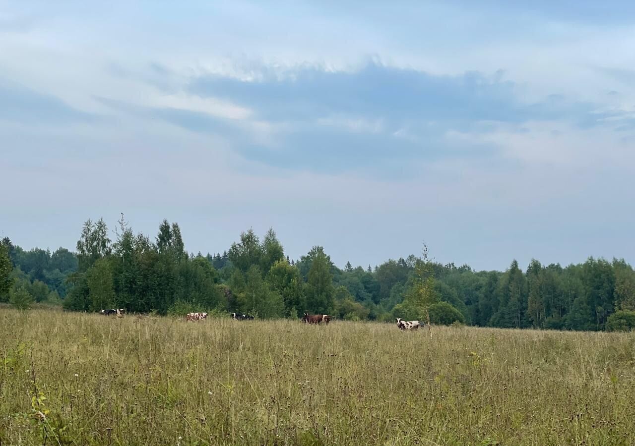 земля р-н Торжокский д Новое Вишенье Большесвятцовское сельское поселение, Торжок фото 3