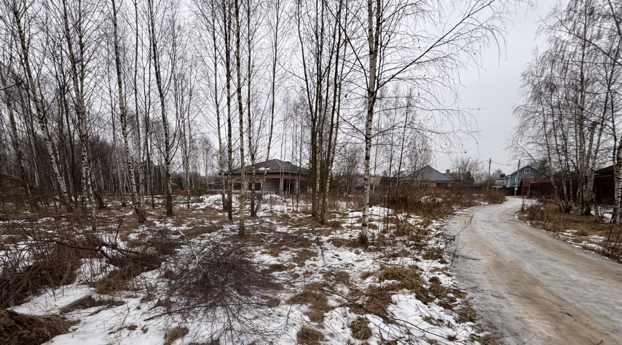 земля городской округ Богородский г Ногинск с. Старое Торбеево фото 3