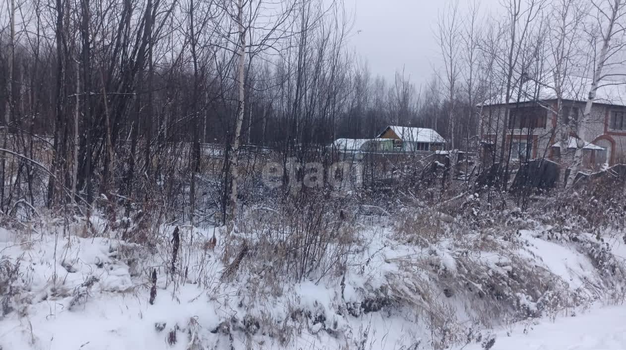 земля г Комсомольск-на-Амуре р-н Новый ул Береговая 55 сельское поселение Село Новый Мир, Мир, Комсомольский район фото 1