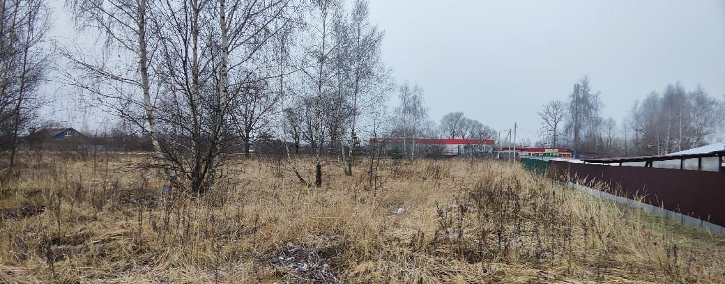 земля городской округ Воскресенск п Хорлово 72 км, г. о. Воскресенск, Новорязанское шоссе фото 6