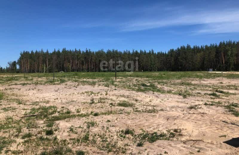 земля г Воронеж р-н Советский Подклетное ул Дачная фото 4