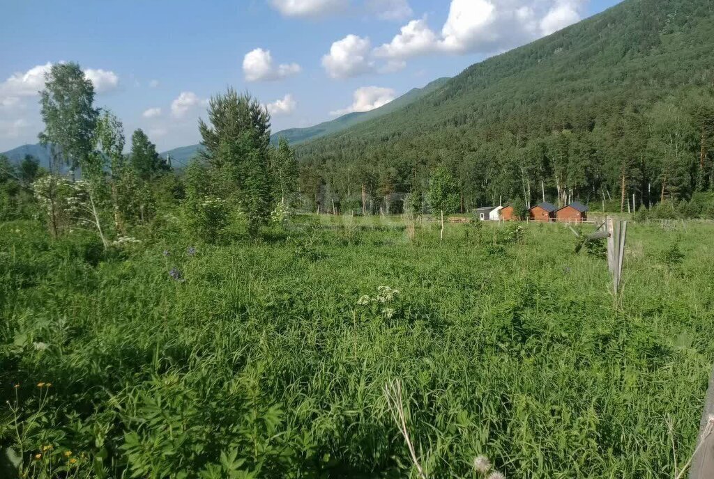 земля р-н Майминский с Озерное ул Дальняя Манжерокское сельское поселение фото 3