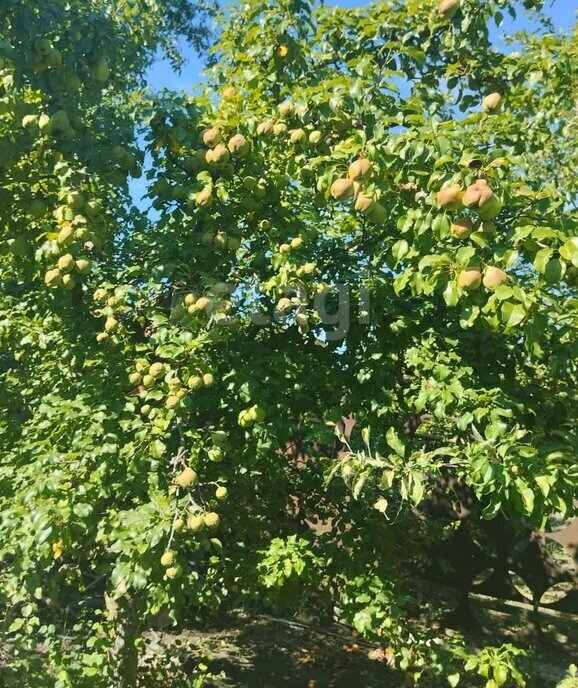 дом р-н Неклиновский х Дарагановка ул Миусская фото 30