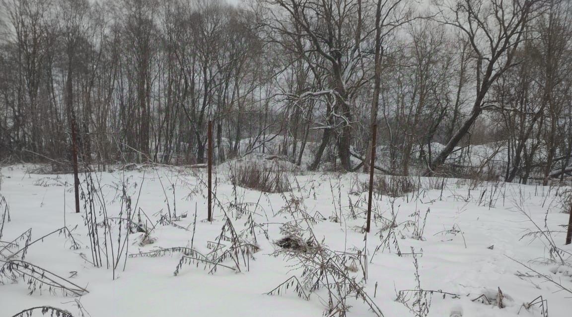 земля городской округ Клин д Бирево фото 3