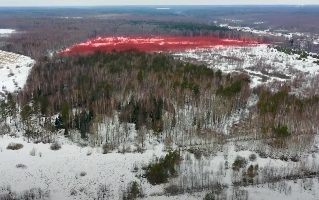 земля р-н Судогодский муниципальное образование Головинское фото 1