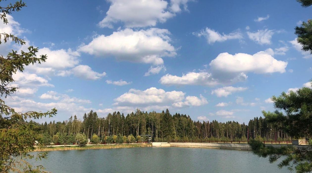 дом городской округ Одинцовский д Семенково Азарово Северное кп, Кокошкино, ул. Каштановая, 4 фото 46